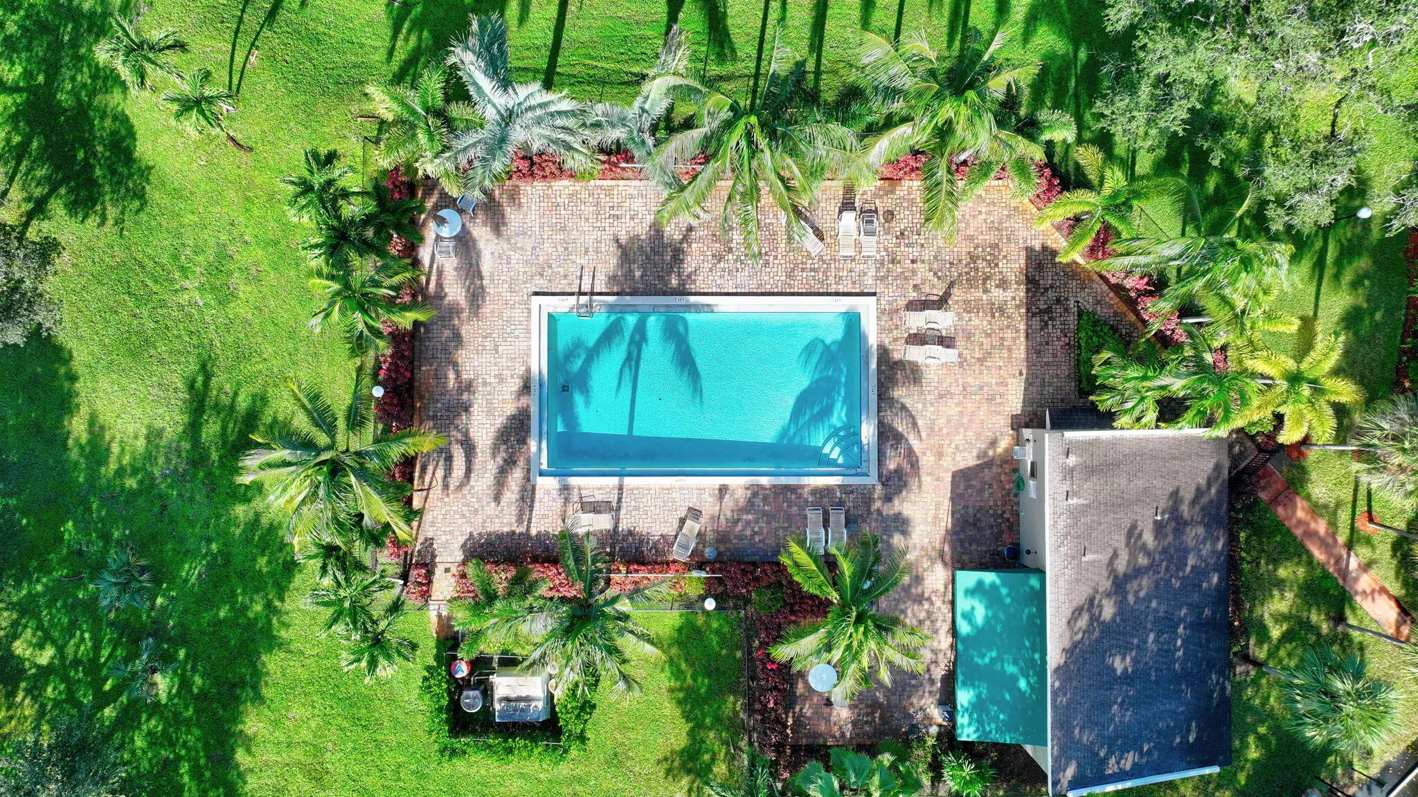 32-web-or-mls-DJI_20241021154829_0486_DA