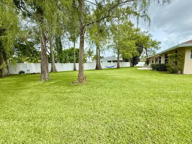 backyard1
