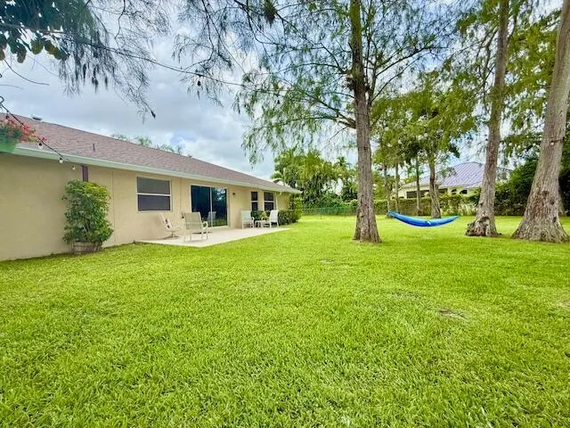 backyard2