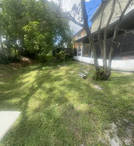 yard