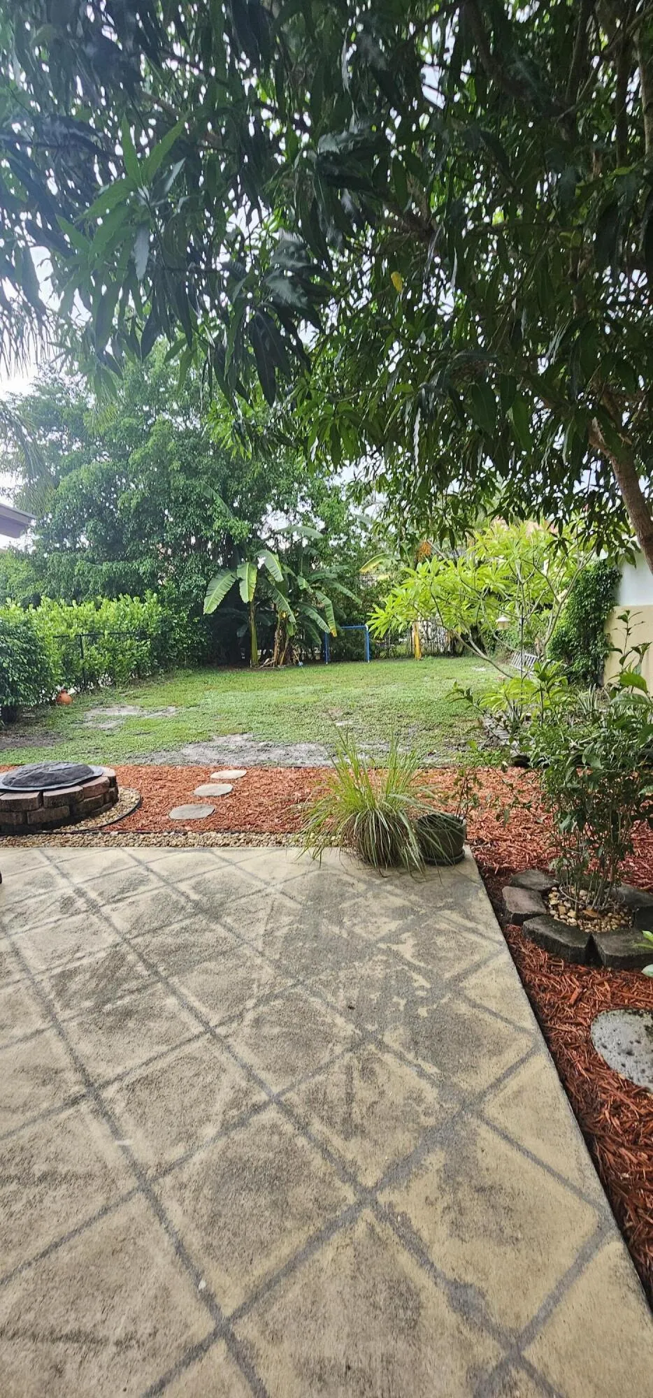 back yard