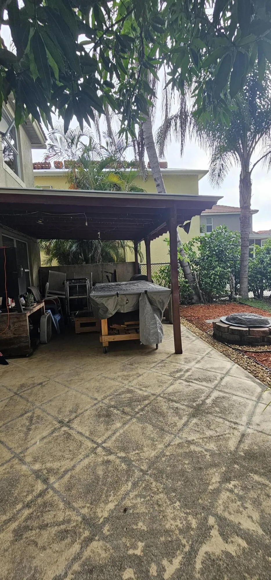 back yard