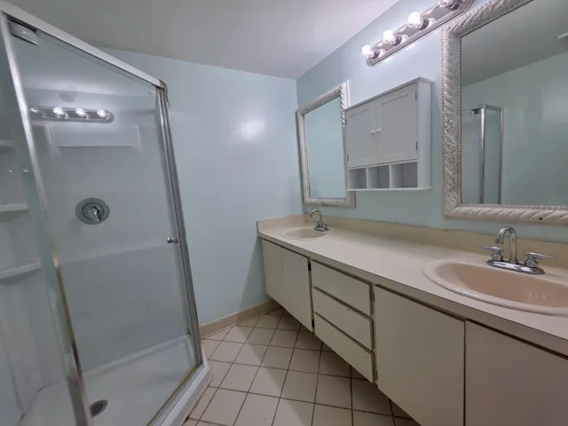 Primary bathroom
