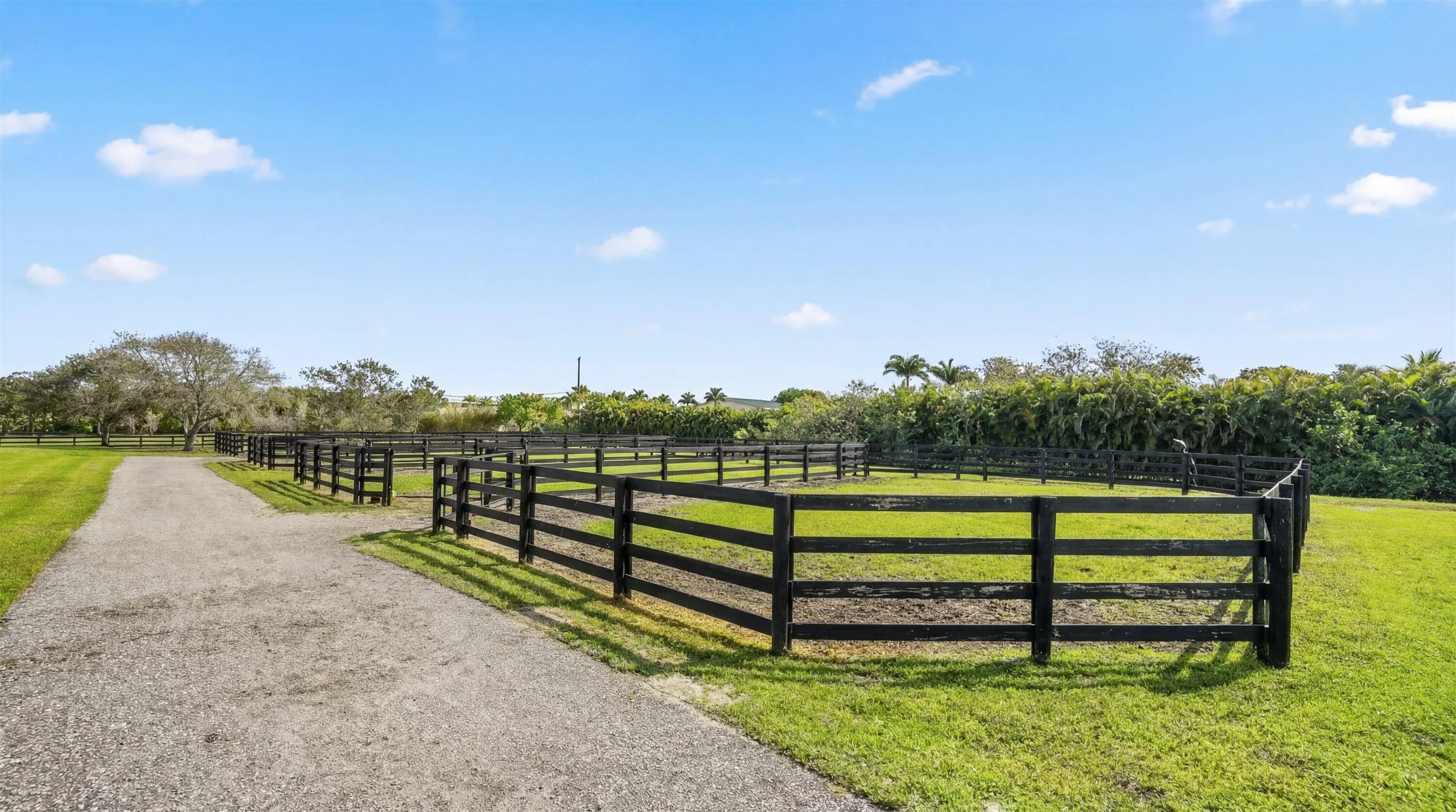 Property photo 69