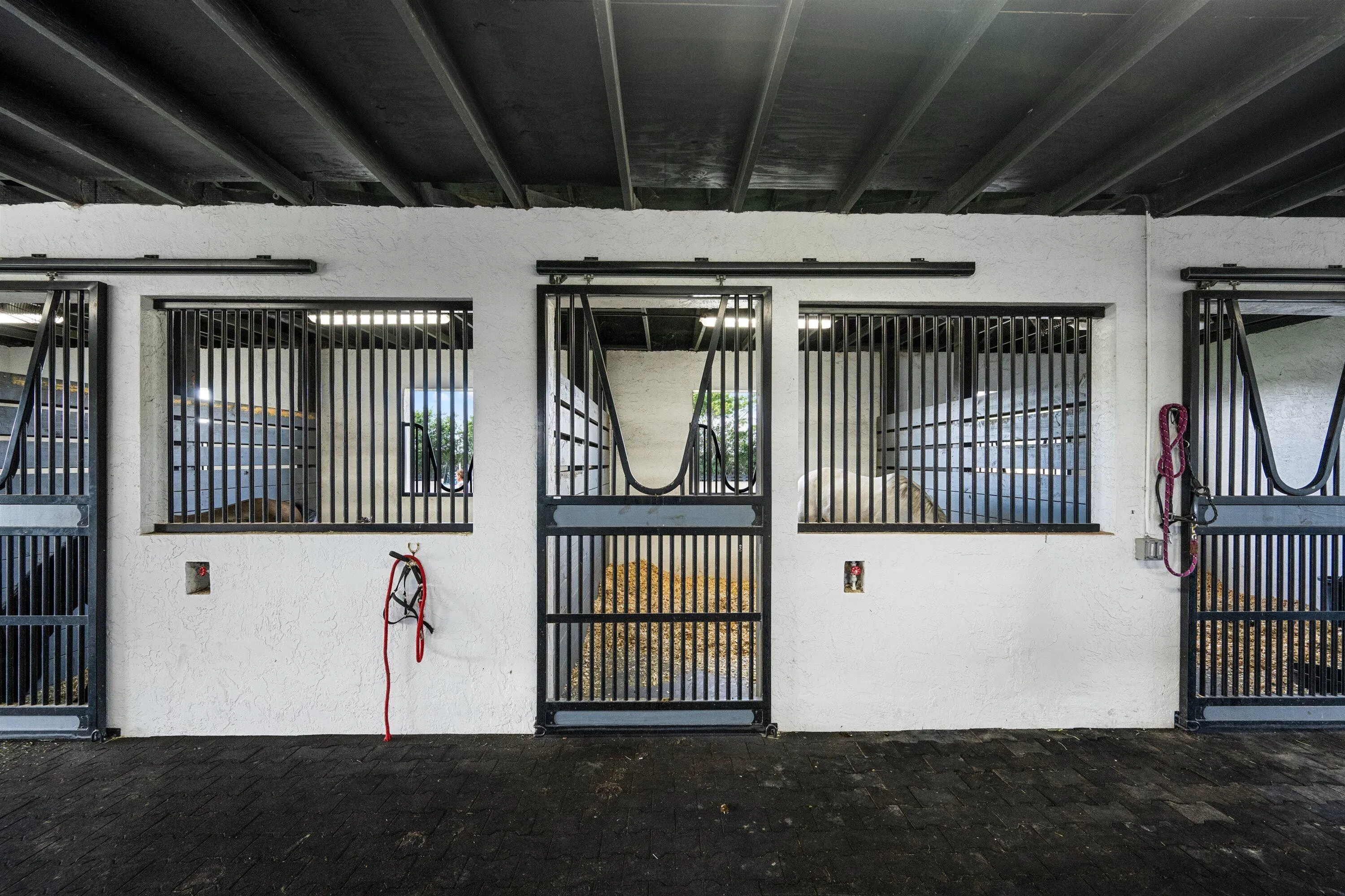 53-DSC_9341