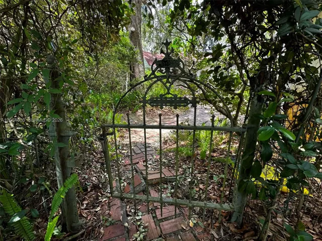 Photo 45