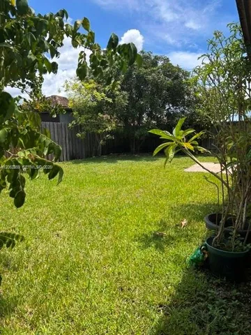 Backyard of the House
