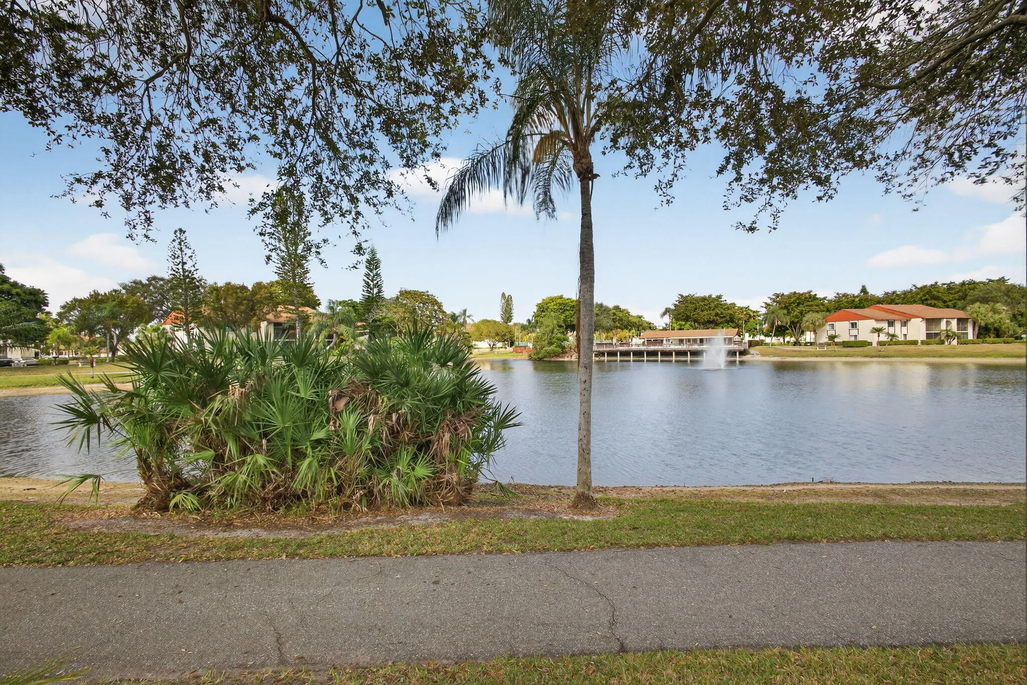 50-web-or-mls-5D1A8408