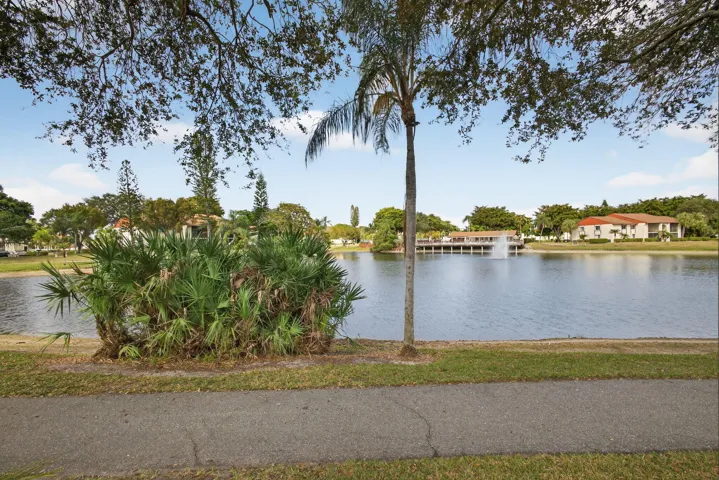 50-web-or-mls-5D1A8408