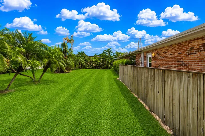 side yard