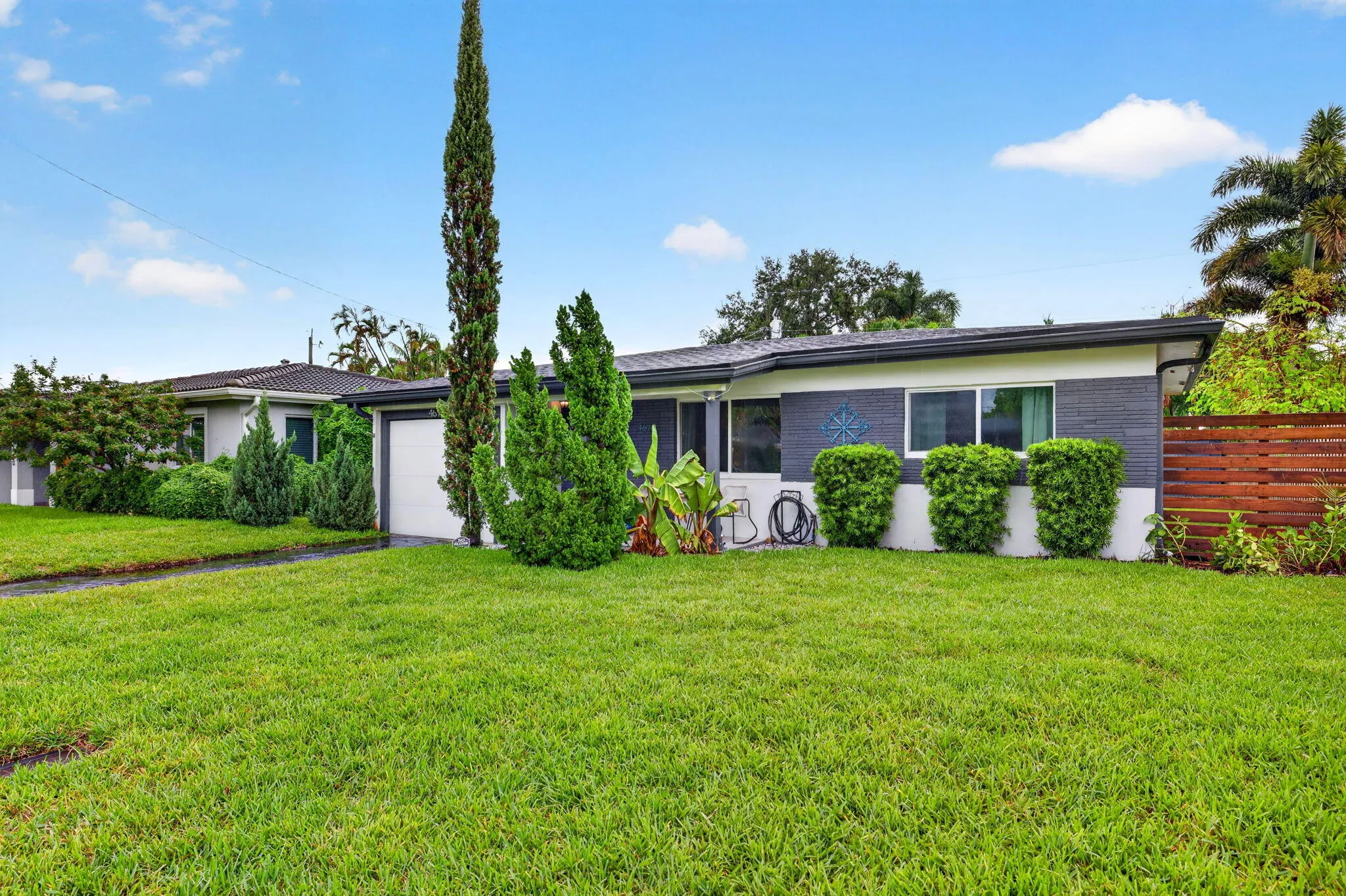 3-web-or-mls-699A8734