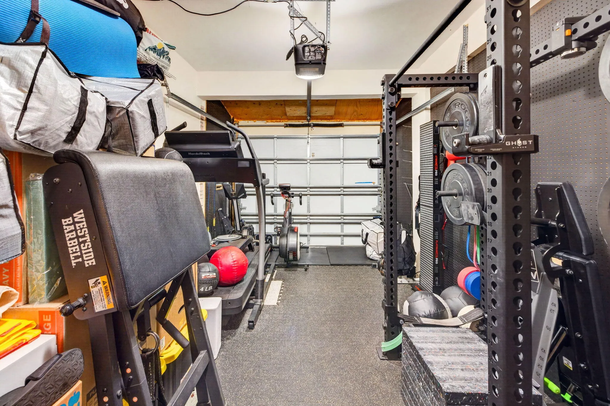 66-web-or-mls-699A8242