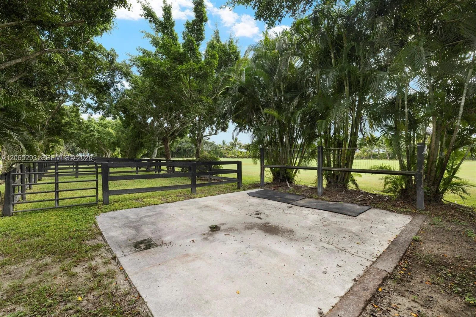 Property photo 24
