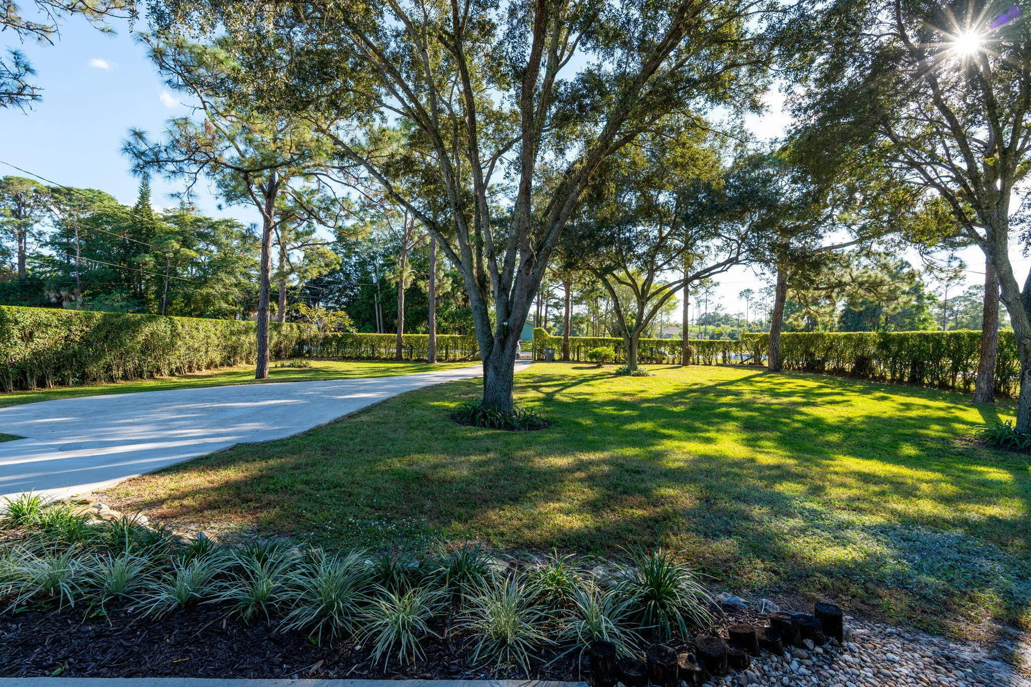 45-web-or-mls-A7404637