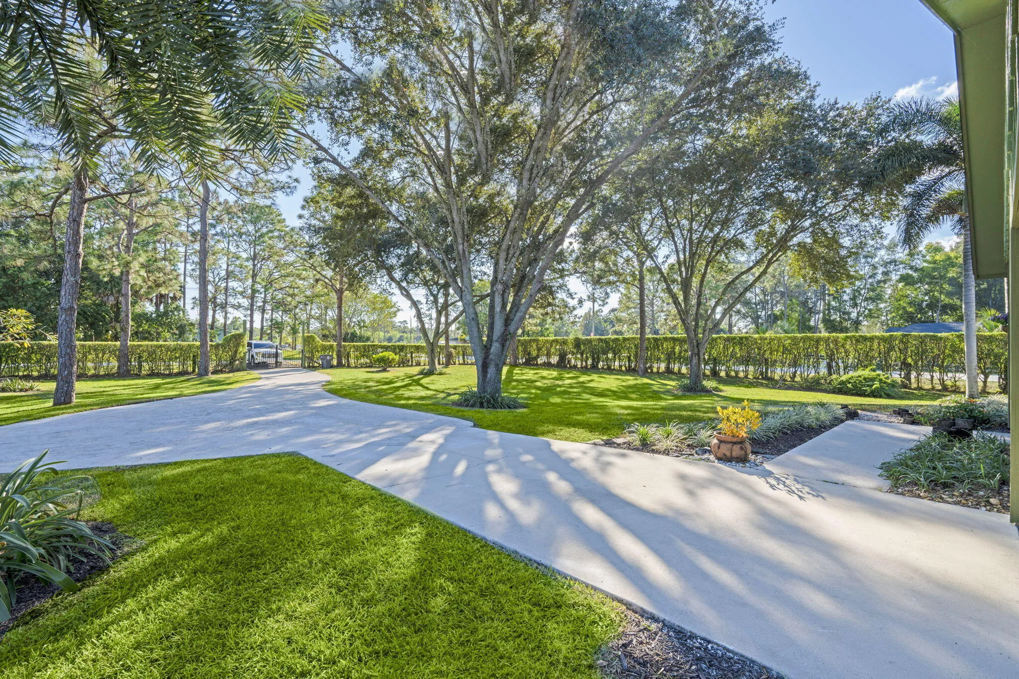 42-web-or-mls-A7404638