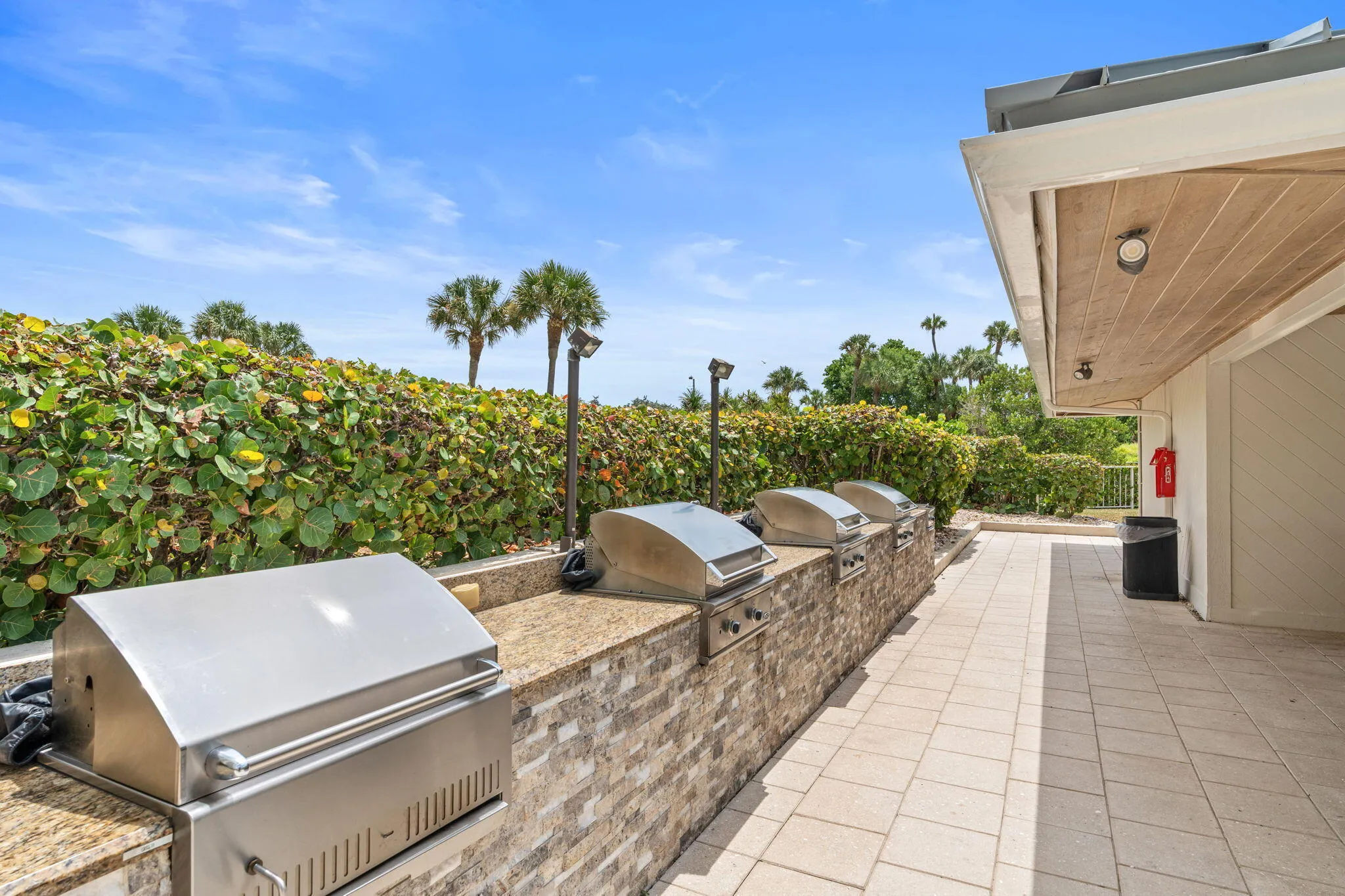 57-web-or-mls-DSC03051