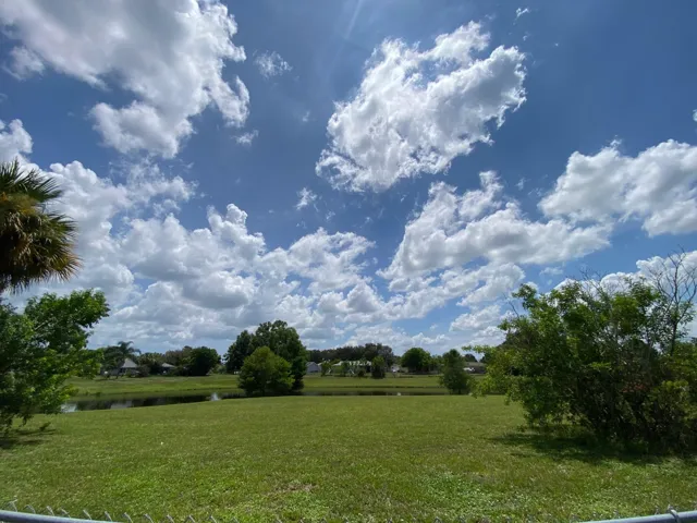 Backyard view