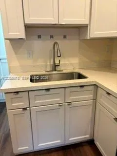 SS Sink in kitchen - quartz countertops