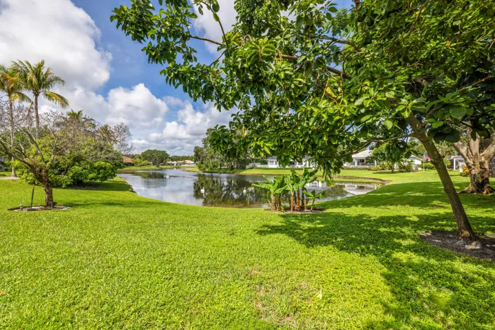 Backyard view
