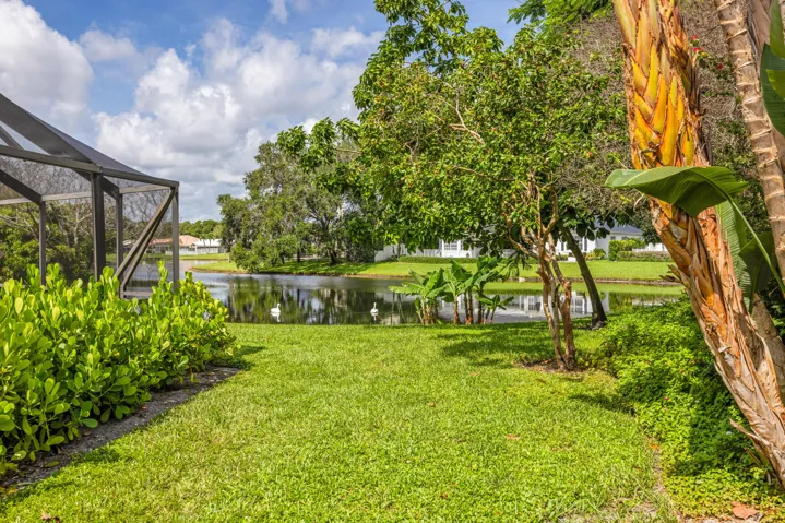 Backyard view