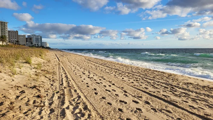 steps to the Beach