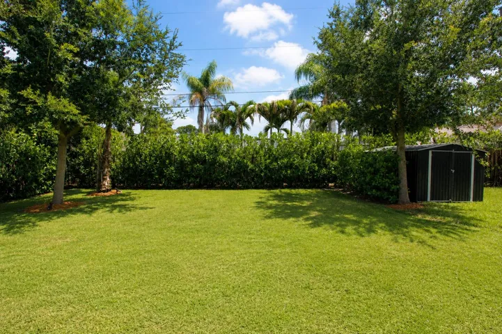 yard