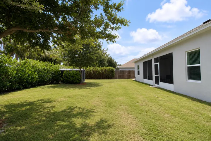 backyard4