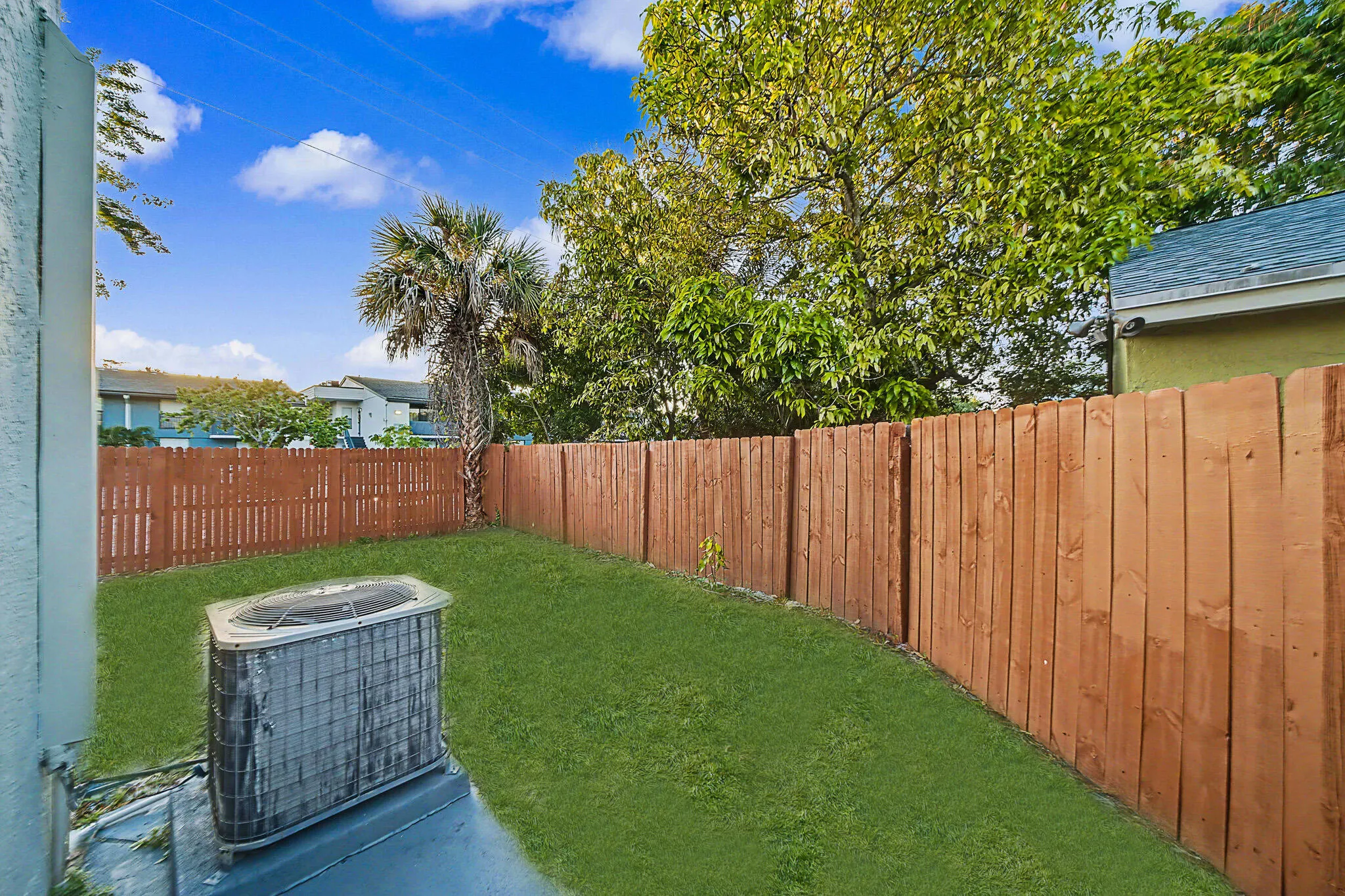 Fenced backyard featuring a manicured lawn, established trees, and a palm tree