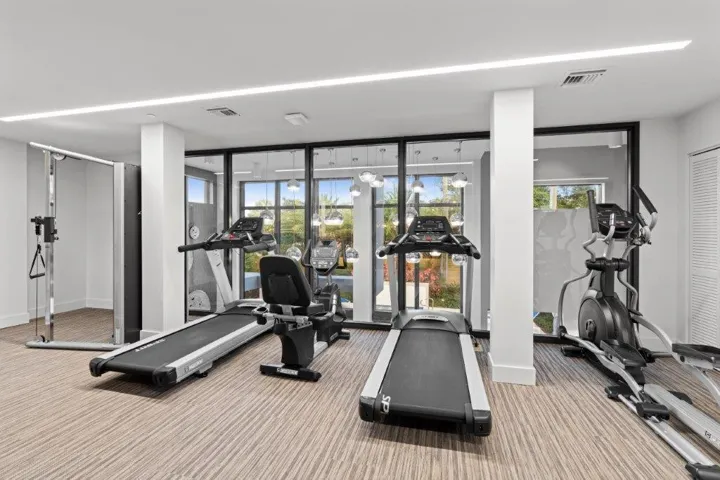 State-of-the-art fitness center featuring multiple cardio and strength-training stations, including treadmills and stationary bikes, anchored by support columns and bathed in natural light from expansive glass doors and windows