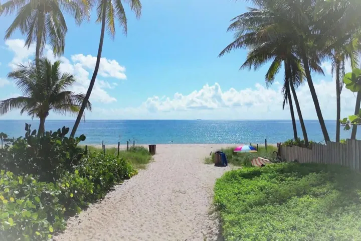 Beach access with a sandy path bordered by lush foliage and mature palm trees