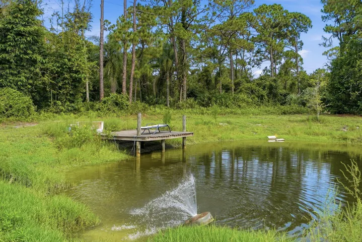 Pond with dock