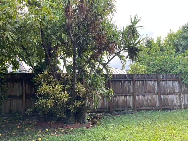 backyard2
