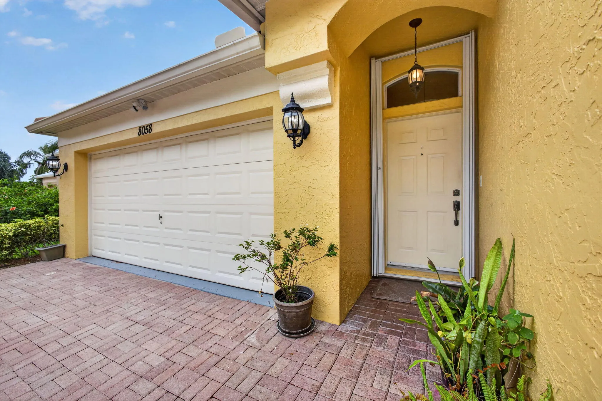 5-web-or-mls-5D1A3646