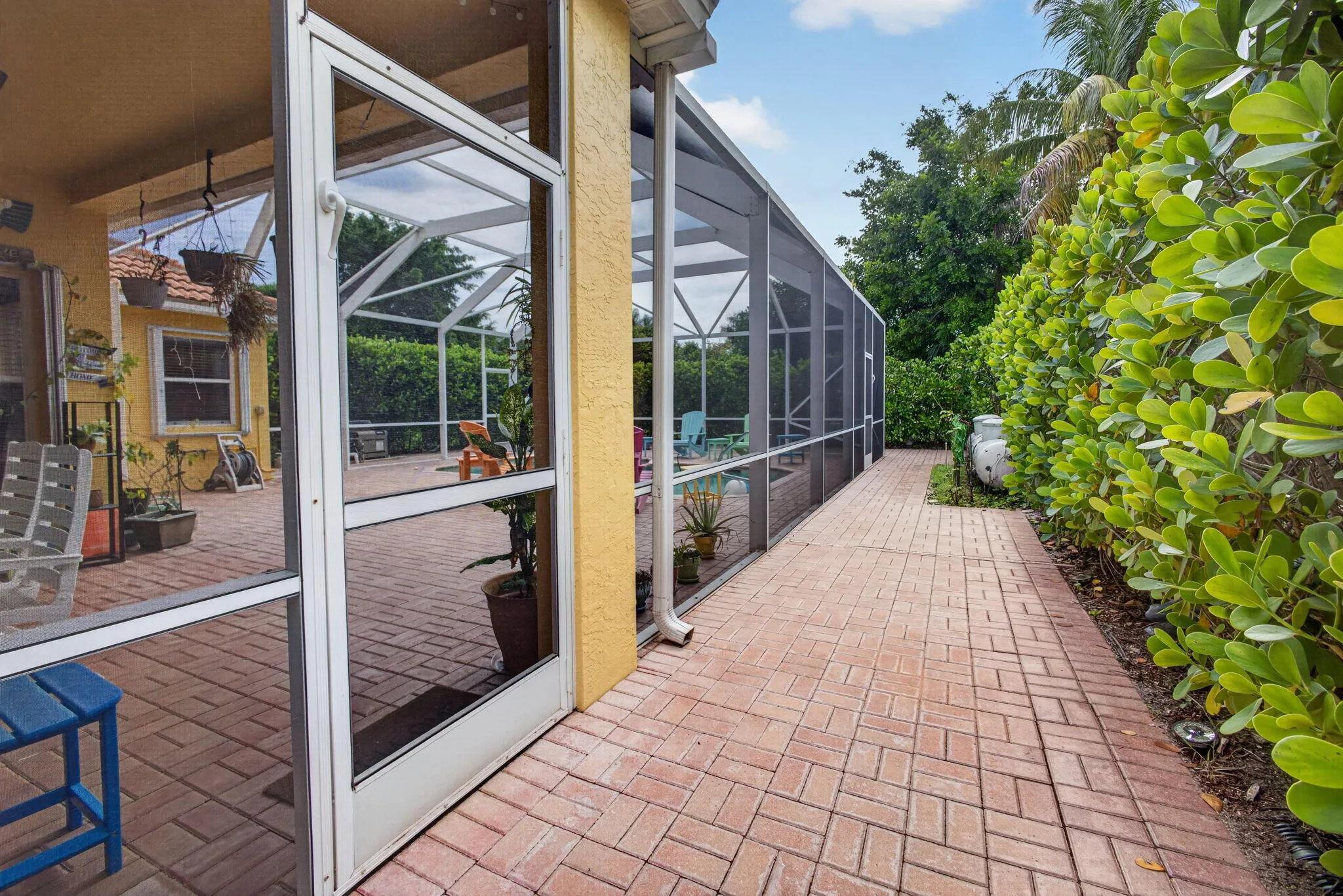 58-web-or-mls-5D1A3621