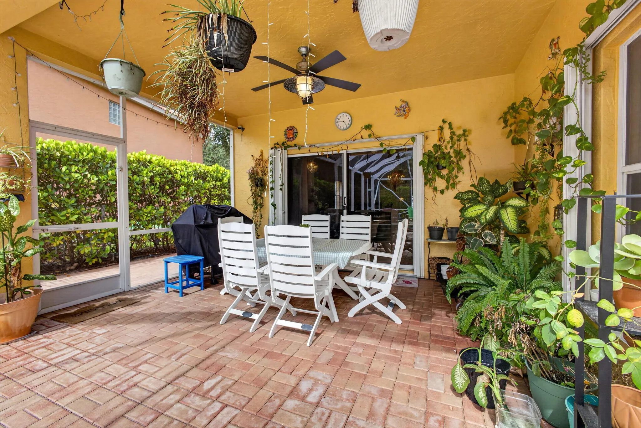 50-web-or-mls-5D1A3571