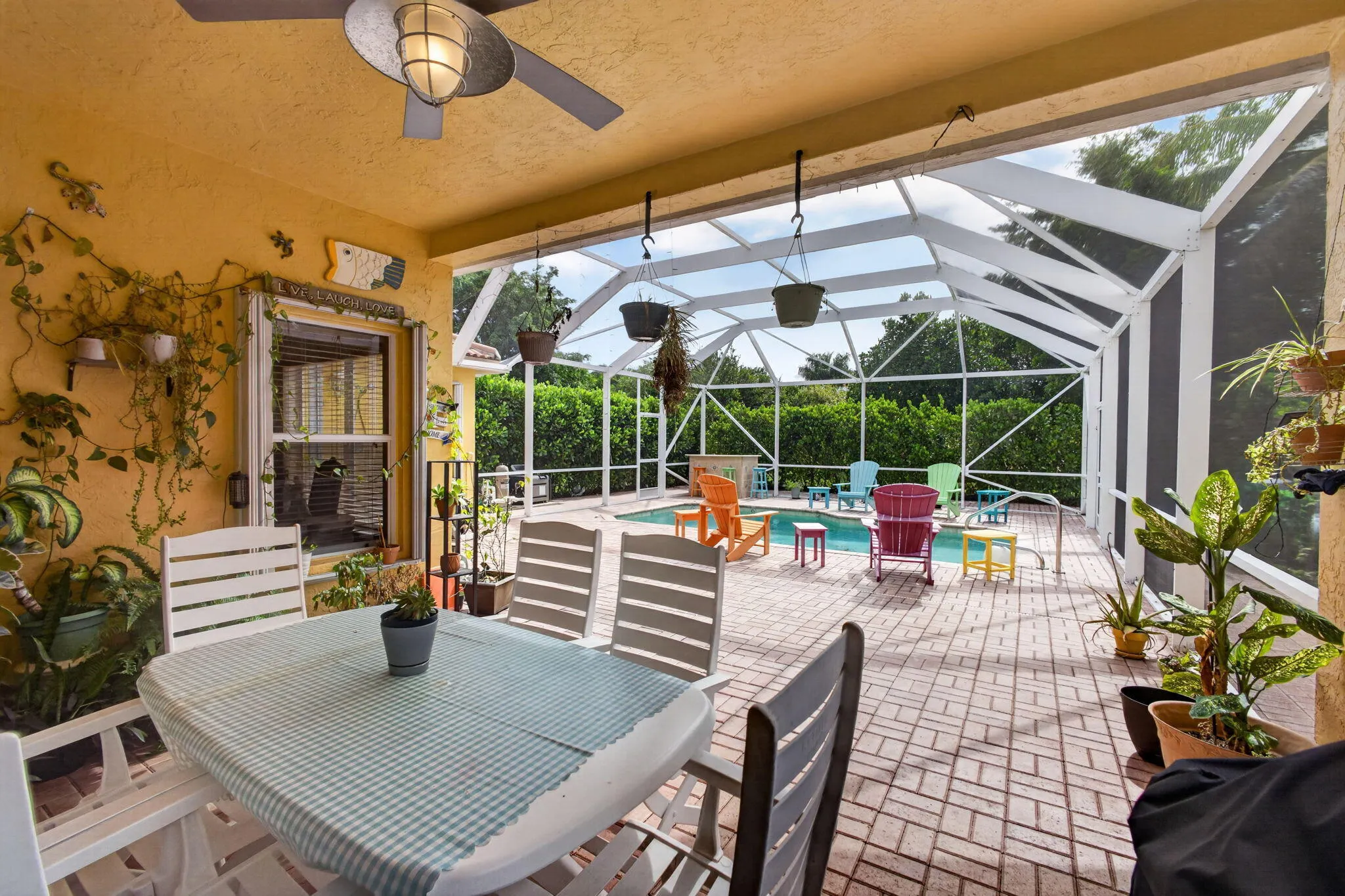 45-web-or-mls-5D1A3546