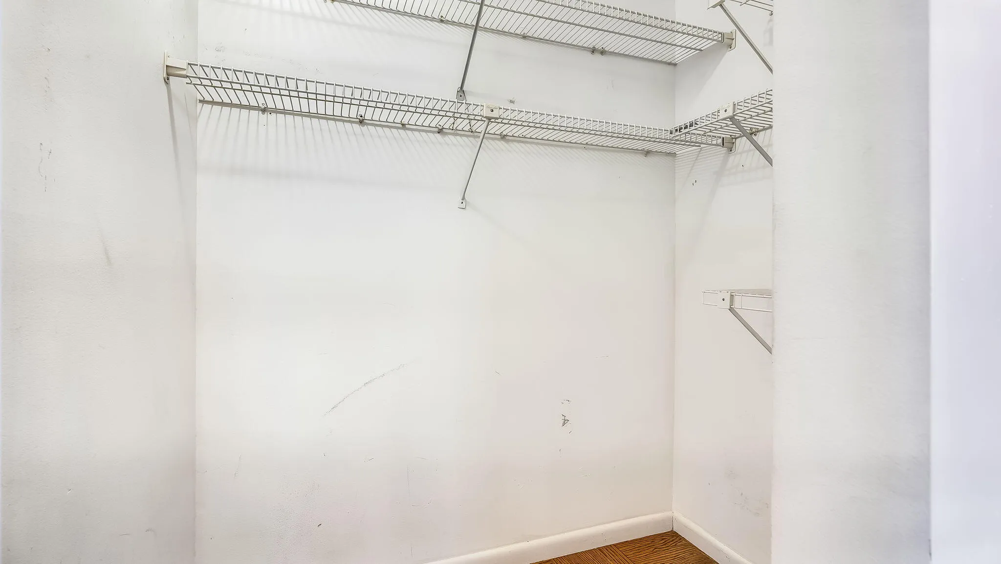 26-web-or-mls-DSC09281