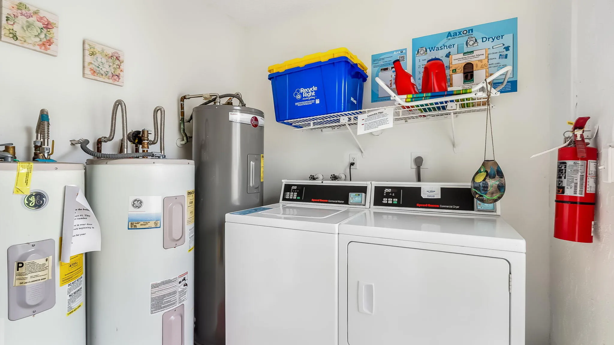 30-web-or-mls-DSC09295