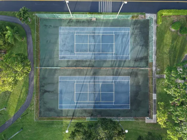 Pinetennis3 Large