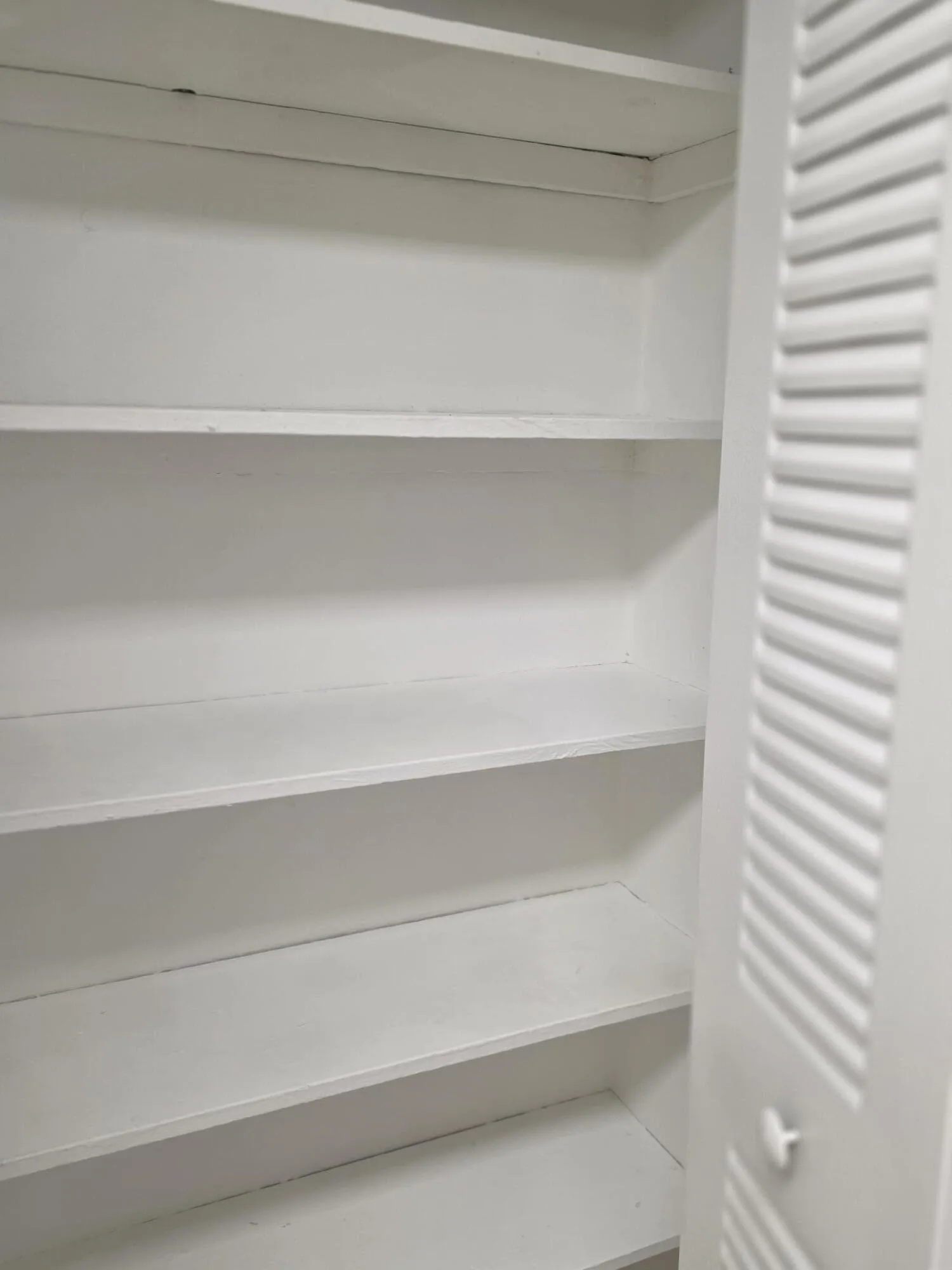 Kitchen Pantry
