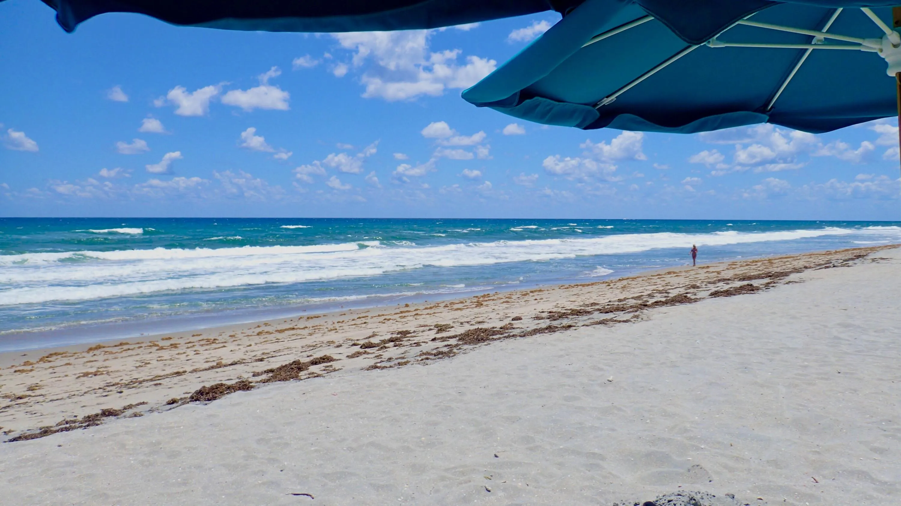 ATTENDED PRISTINE, PRIVATE BEACHES