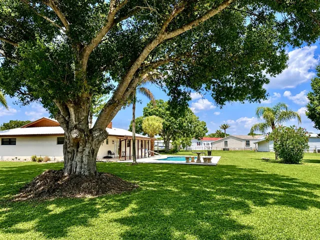 Side Yard