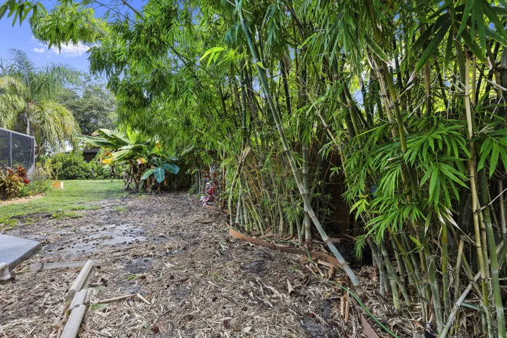 22-web-or-mls-DSC08392