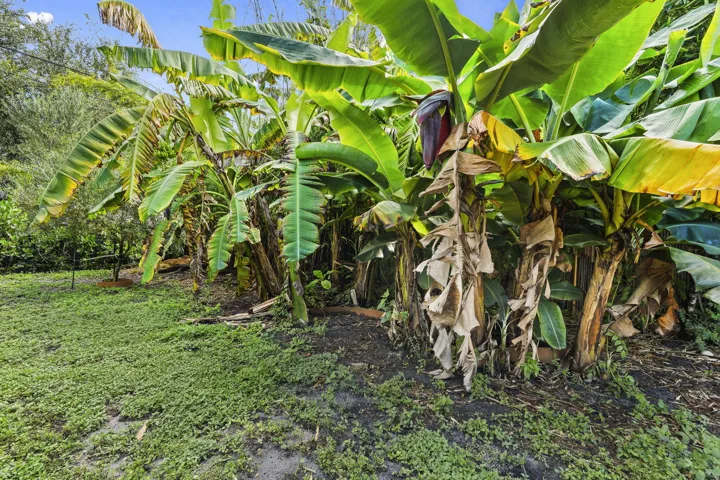 23-web-or-mls-DSC08401