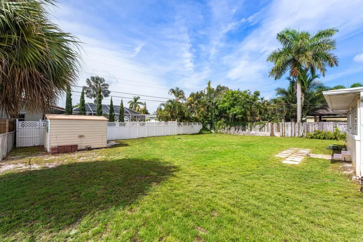Backyard