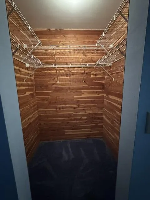 Cedar Closet