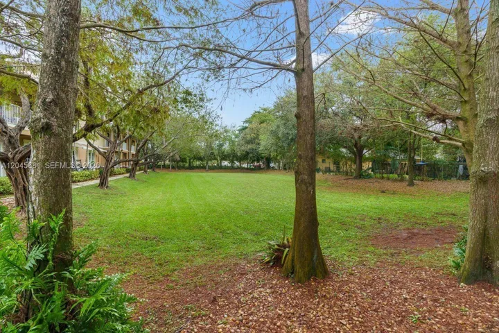 View of Community Backyard