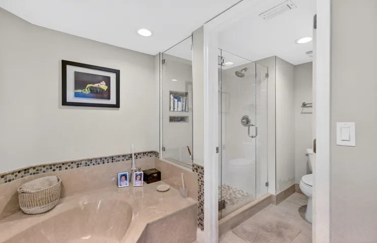 Separate Soaking Tub & Shower
