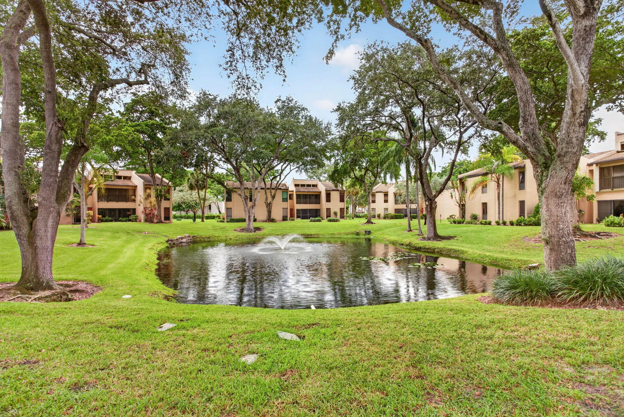 POND VIEW