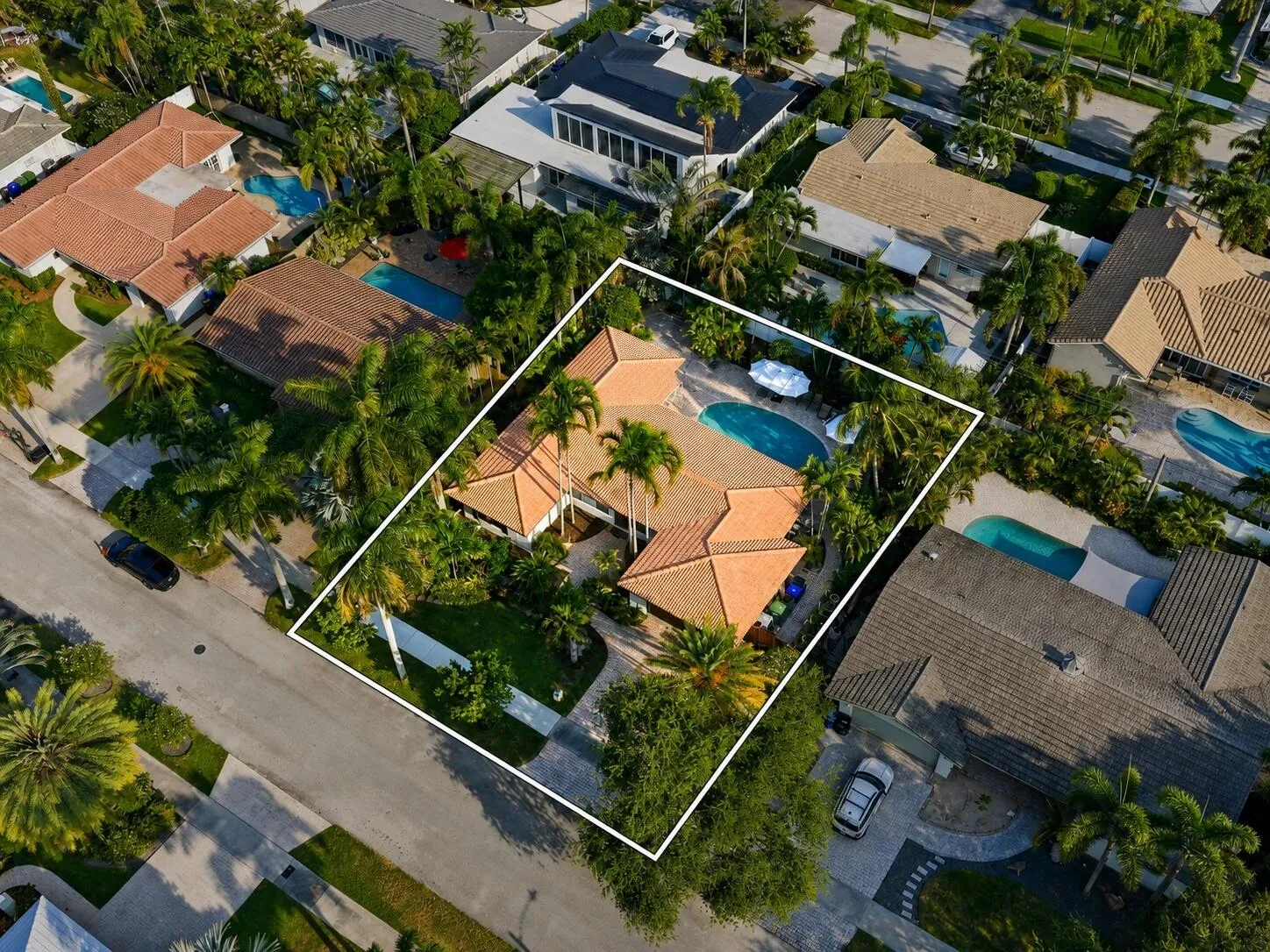 aerial